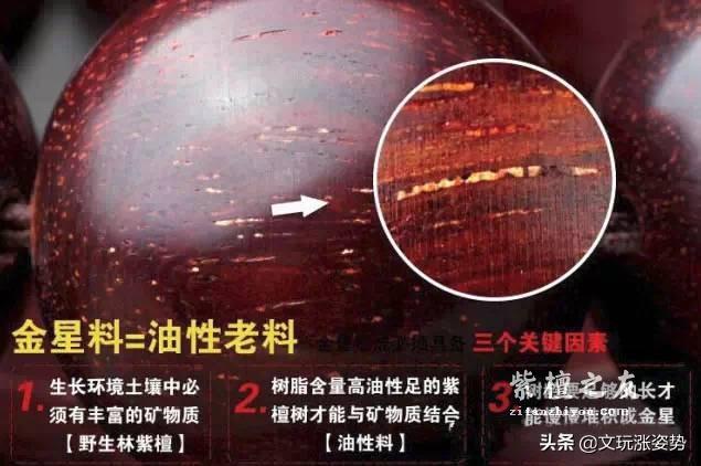 干货！小叶紫檀图解-4
