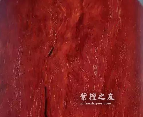 小叶紫檀牛毛纹的几种表现形式！-7