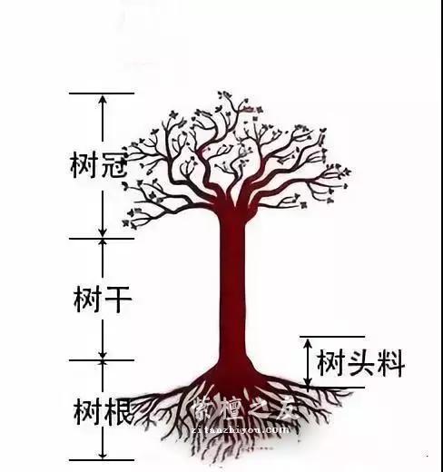 为什么很多玩家喜欢小叶紫檀树头料？-2