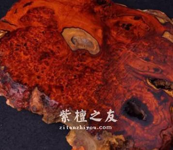小叶紫檀“金星”与“瘤疤”，哪家强？-5
