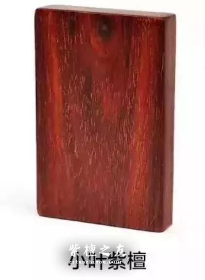 看了秒懂！小叶紫檀和红酸枝怎么分？-2