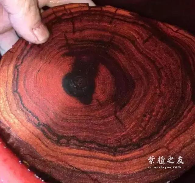 小叶紫檀八级测试题，看你能答对几个！-4