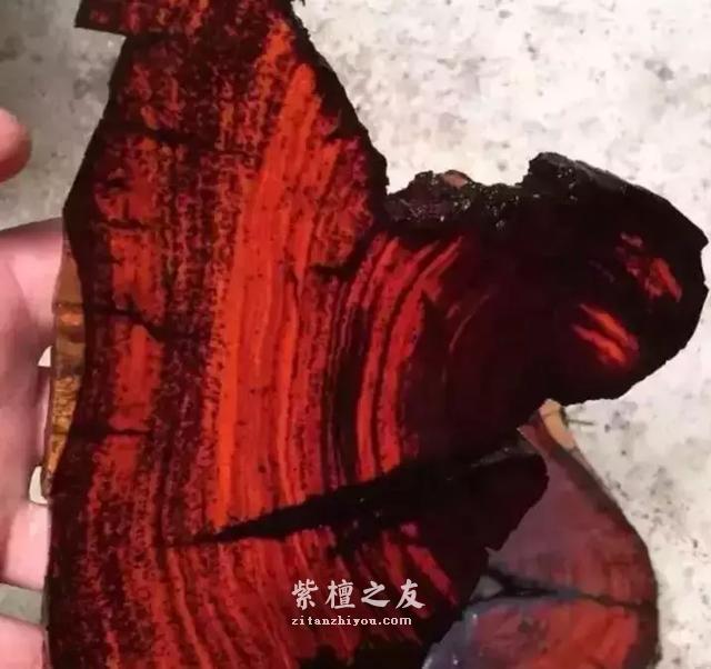小叶紫檀八级测试题，看你能答对几个！-7