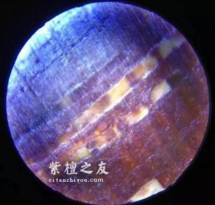 紫檀假金星生产全过程，看完这7个步骤你就会鉴别了！-10