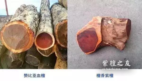 电吹风、热水、打火机、铁丝：无损鉴别小叶紫檀与血檀的“四大神器”-1