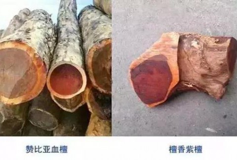 电吹风、热水、打火机、铁丝：无损鉴别小叶紫檀与血檀的“四大神器”