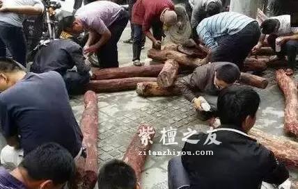 揭秘真实的小叶紫檀赌料过程，玩得起也要输得起！-1