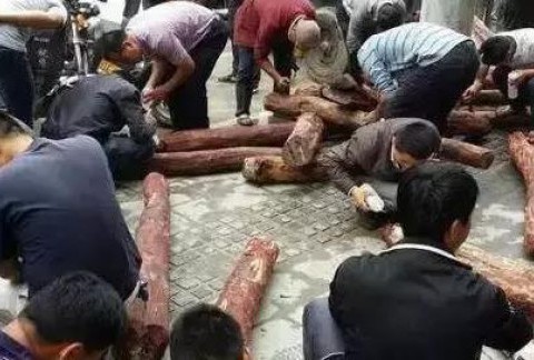 揭秘真实的小叶紫檀赌料过程，玩得起也要输得起！