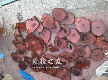 揭秘真实的小叶紫檀赌料过程，玩得起也要输得起！-6