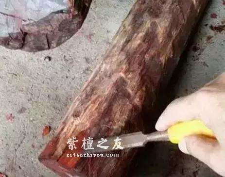 揭秘真实的小叶紫檀赌料过程，玩得起也要输得起！-5