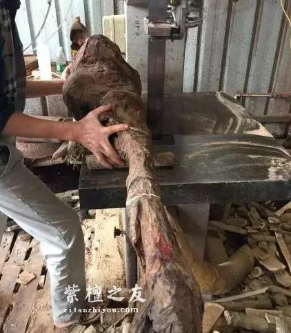 揭秘真实的小叶紫檀赌料过程，玩得起也要输得起！-8