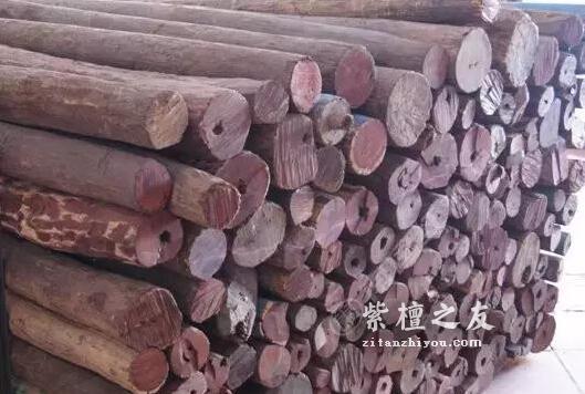 经常戴小叶紫檀的人都会有的五大变化，你中了几个！-3