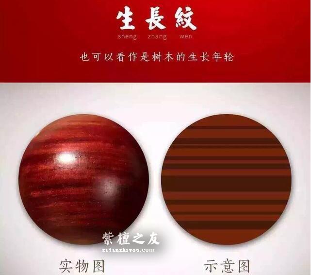 知识贴：关于印度小叶紫檀的生长纹-1
