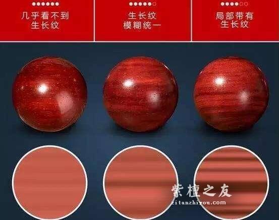 知识贴：关于印度小叶紫檀的生长纹-2