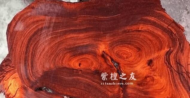 知识贴：关于印度小叶紫檀的生长纹-4