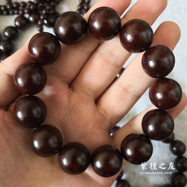 小叶紫檀速生林的真相，别再傻傻当明白人-1