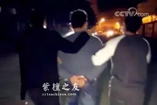 小叶紫檀走私大案告破！购运销走私进口濒危木材50余吨-3