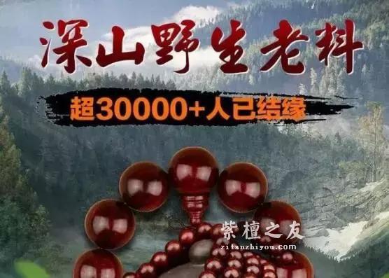 小心小叶紫檀的宣传陷阱，坑太多！-8